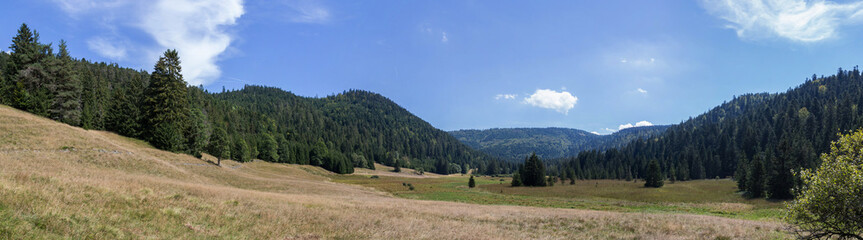 clairière de Belbriette