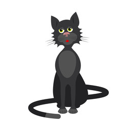 Fototapeta premium black cat