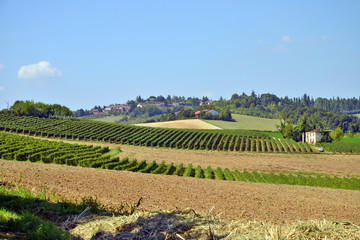 le campagne del Monferrato, Piemonte
