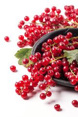 Red currant