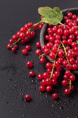 Red currant over black