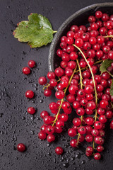 Red currant over black
