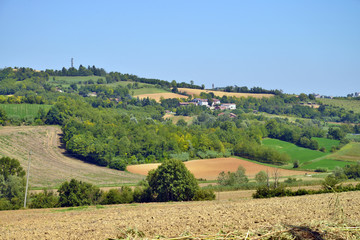 Fototapeta na wymiar le campagne del Monferrato, Piemonte
