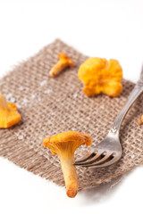 Vintage fork with mushrooms chanterelle