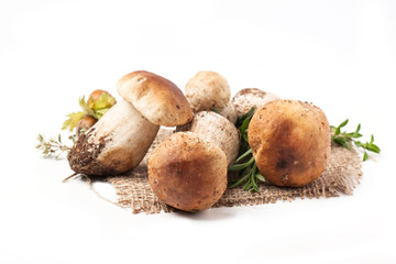 ceps mushrooms