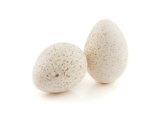 Turkey eggs
