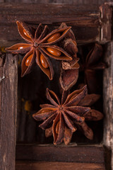 Close-up of anise