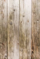 Fototapeta premium Wood Background