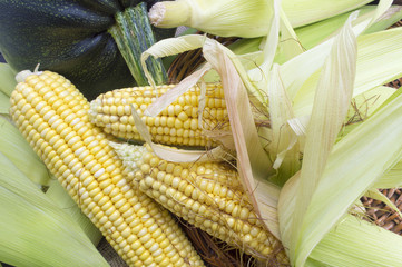 Fresh yellow corn