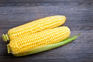 cobs of sweet corn