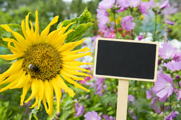 Garten - Tafel - Leer 