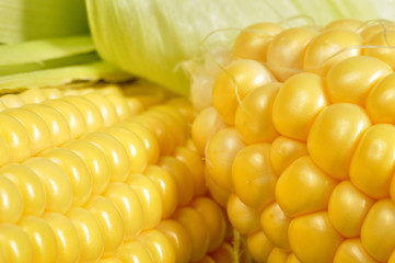corn on cob macro