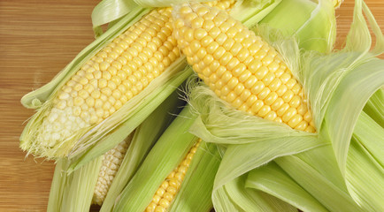 corn on cob on wood background