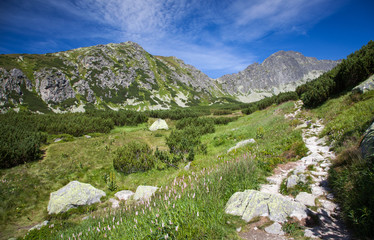 Fototapeta na wymiar Valley in High Tatras, Slovakia