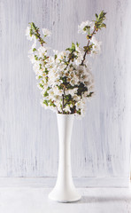 Bouquet of apple flowers