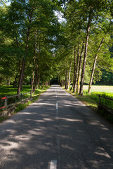 Road to Maninska tiesnava - Povazska Bystrica - Slovakia