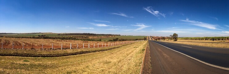 Road of Brazil landscape