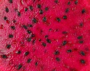 Red dragon fruit background