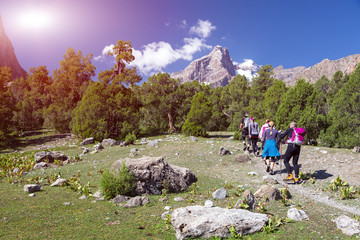 Group of Hikers Walking into Wilderness Large Group of People Sport Clothing Going on Green Grass Meadow Up towards Forest and Mountain Peaks Sunlight Blue Sky Majestic Summits Background