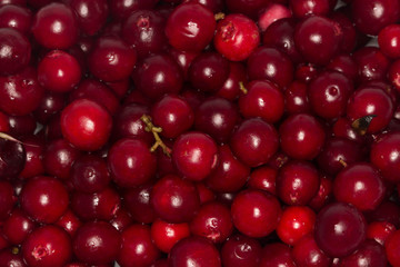 foxberries background