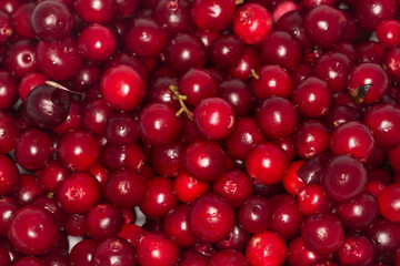 foxberries background