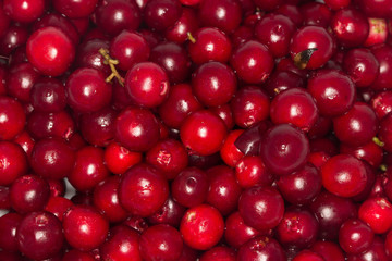 foxberries background