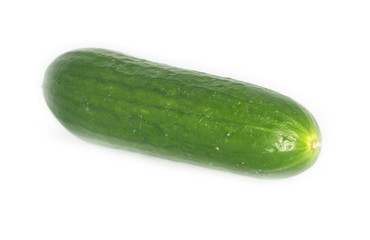 cucumber isolated