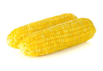 ears of Sweet corn isolated on white background