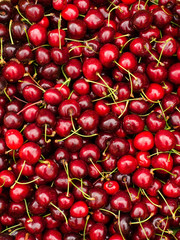 Close up on ripe red cherries. Cherry background.