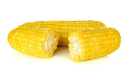 Sweet corn isolated on white background