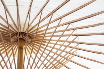 Japanese white umbrella