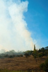Fototapeta na wymiar Forest fire and clouds of smoke.