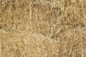 straw background