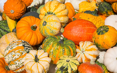 Colorful pumpkins