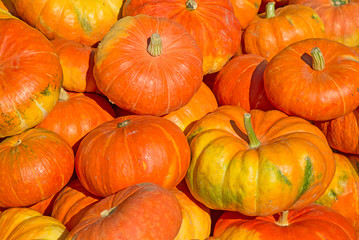 Colorful pumpkins