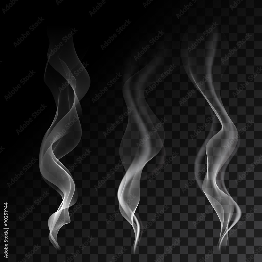 Poster light cigarette smoke waves on transparent background vector