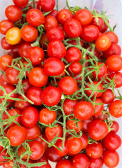 cherry tomatoes, close-up view