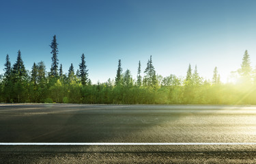 Naklejka premium asphalt road in forest