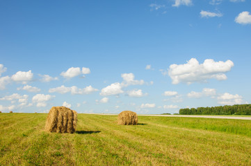 A stack of hay in the field