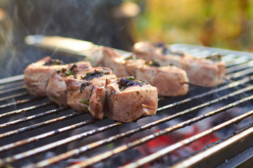 meat rolls grilled on skewers