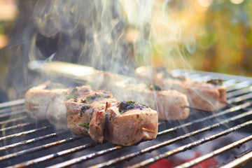 meat rolls grilled on skewers