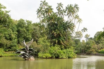 Zelfklevend Fotobehang Swan lake in Singapore Botanic Gardens © johannes86