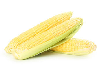 Corns isolated on a white