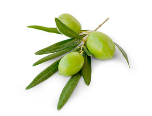 Three olives with leaves isolated