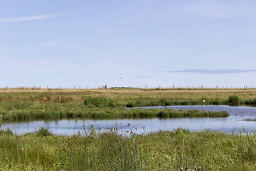 Pond / Landscape with bird sanctuary 