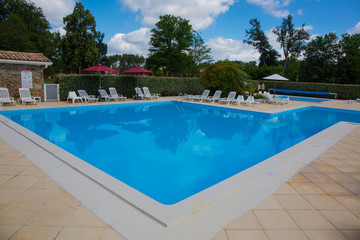 Swimming pool and lush vegetation
