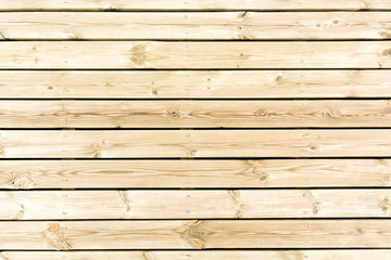 Obraz premium Wood texture background