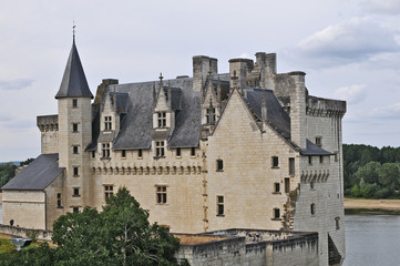 Fototapeta na wymiar Il castello di Montsoreau - Loira, Francia