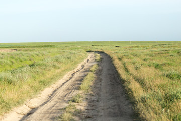 road in a field