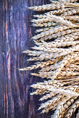 Ears of Wheat on Wooden Background, top view